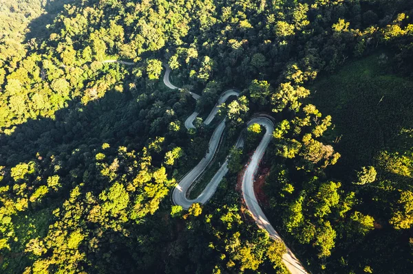 Letecký Pohled Vinoucí Cestu Mezi Stromy — Stock fotografie