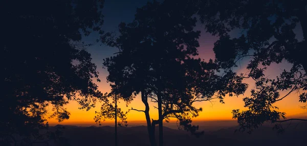 Μετά Ηλιοβασίλεμα Στον Ουρανό Στο Δάσος — Φωτογραφία Αρχείου