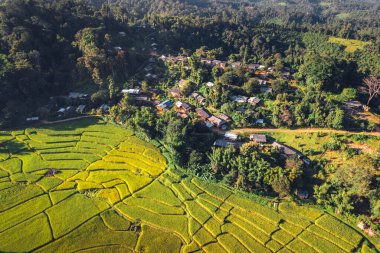 Kırsalda akşam pirinç tarlaları, kırsal seyahat