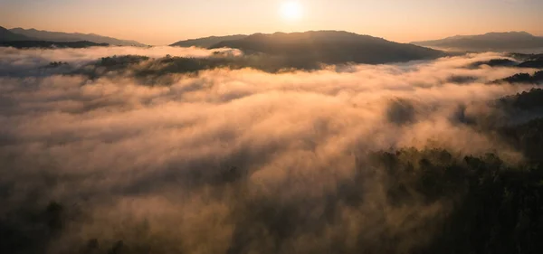 Goldener Nebel Wald Und Morgenlicht — Stockfoto