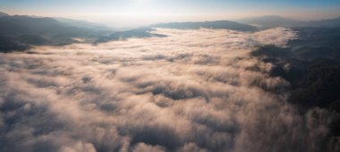 Ormanda gün doğumu sisi ve dağlarda