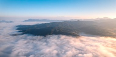 Ormanda gün doğumu sisi ve dağlarda