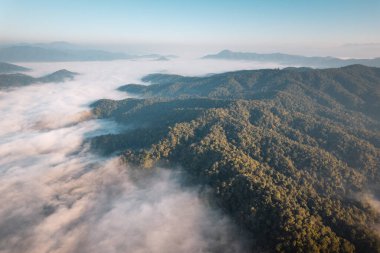 Ormanda gün doğumu sisi ve dağlarda