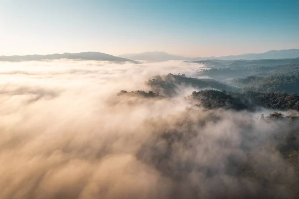 Amanecer Niebla Del Bosque Las Montañas — Foto de Stock