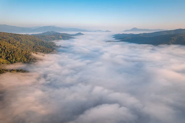 stock image sunrise in the forest mist and mountains