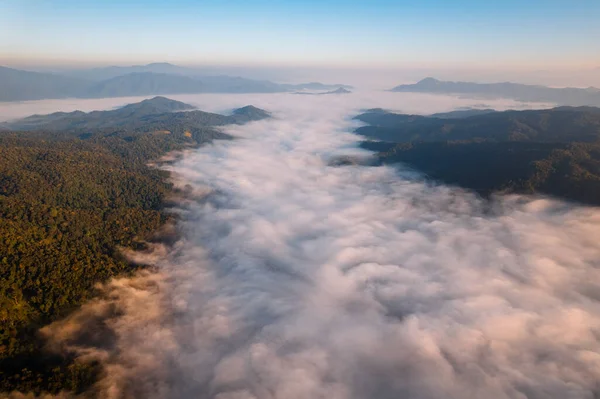 Stock image sunrise in the forest mist and mountains