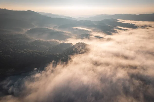 Amanecer Niebla Del Bosque Las Montañas — Foto de Stock