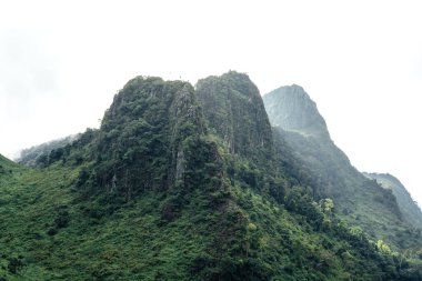 Ormandaki yeşil kayalık dağlar ve ağaçlar