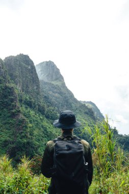 Ormandaki yeşil kayalık dağlar ve ağaçlar