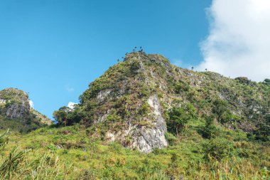 Ormandaki yeşil kayalık dağlar ve ağaçlar