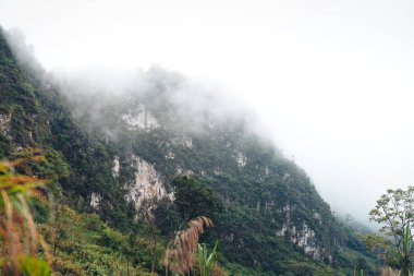 Ormandaki yeşil kayalık dağlar ve ağaçlar