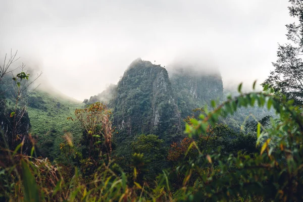 Montanhas Rochosas Verdes Árvores Floresta — Fotografia de Stock