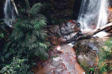 Ormanda şelale Dağlarda su ve kayalar