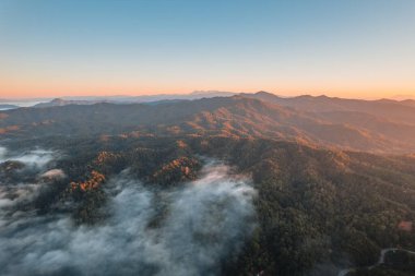 Dağlar ve sisler sabahları, yüksek açılı orman manzarası.