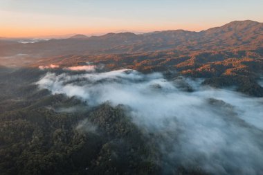 Dağlar ve sisler sabahları, yüksek açılı orman manzarası.