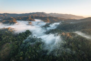 Dağlar ve sisler sabahları, yüksek açılı orman manzarası.
