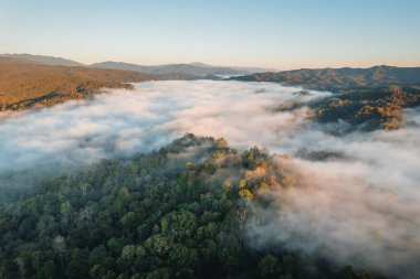 Dağlar ve sisler sabahları, yüksek açılı orman manzarası.