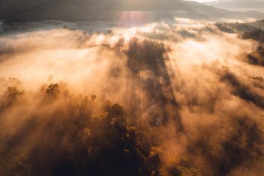 Sabah sisi arasında turuncu ışık, yüksek açı manzarası, altın ışık arka planı