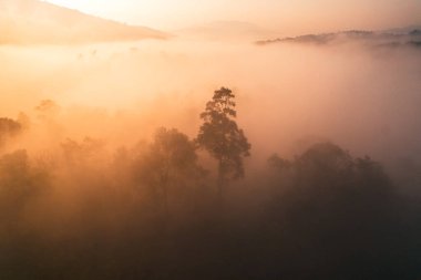 Yoğun sabah sisinin havadan görünüşü