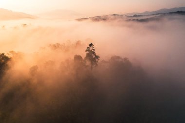 Yoğun sabah sisinin havadan görünüşü