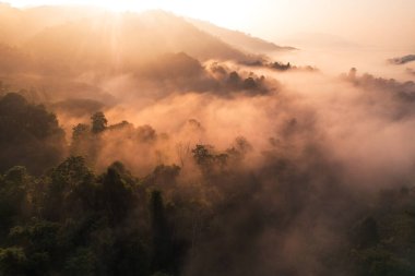 Yoğun sabah sisinin havadan görünüşü
