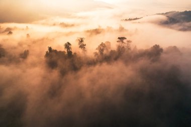 Yoğun sabah sisinin havadan görünüşü