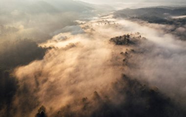 Sisli bir ormanda gün doğumu Hava manzarası