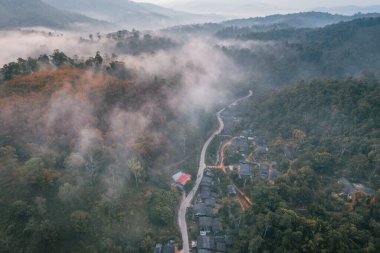 Forest and fog in the morning, high angle view,in the countryside