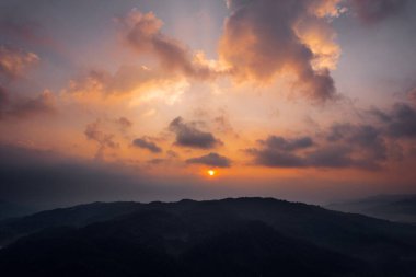 Forest and fog in the morning, high angle view,in the countryside