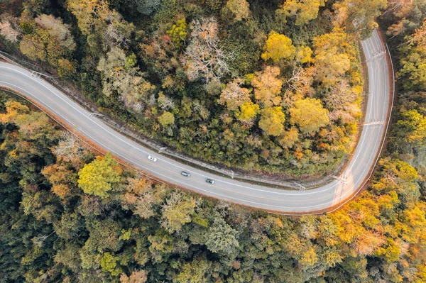 Overhead view of a road in a forest in autumn