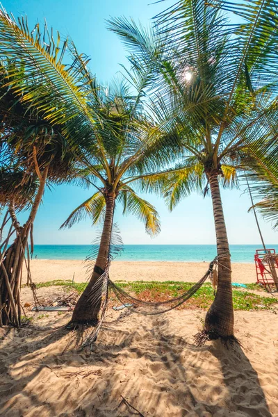 島のビーチや夏休み 島の旅のココナッツの木 — ストック写真