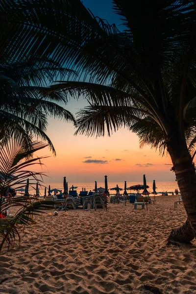 Coqueiros Praia Ilha Férias Verão — Fotografia de Stock