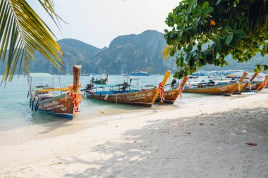 Adadaki sahilde uzun kuyruklu tekne
