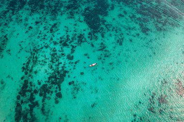 Yazın tropik ada manzarası
