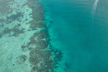 Yazın tropik ada manzarası