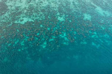 Yazın tropik ada manzarası