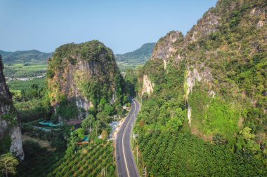 Yol ve denize dağları olan palmiye ağaçları.