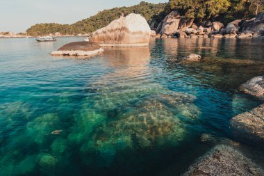 Sahil, körfez ve kayalar Koh Tao, Tayland
