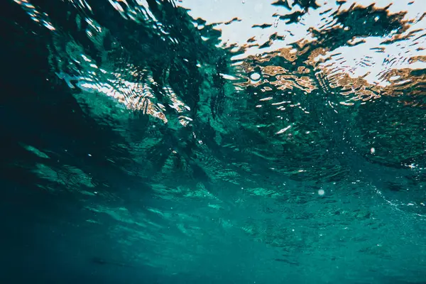 Simma Havet Titta Korallrev — Stockfoto