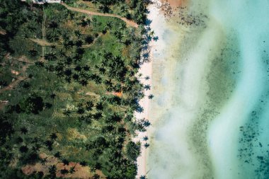 Koh Samui 'deki bir dağdan deniz manzarası, tropik ada.