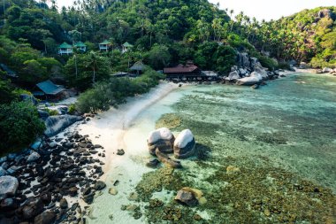 Tayland 'da tropik plaj ve hindistan cevizi ağacı