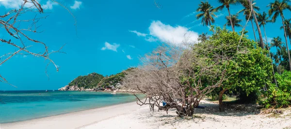 Tropischer Strand Und Kokospalme Thailand — Stockfoto