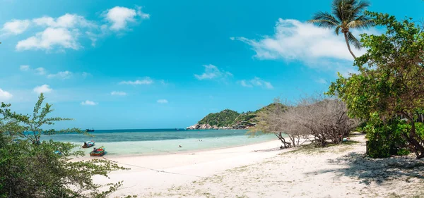 Playa Tropical Cocotero Tailandia — Foto de Stock