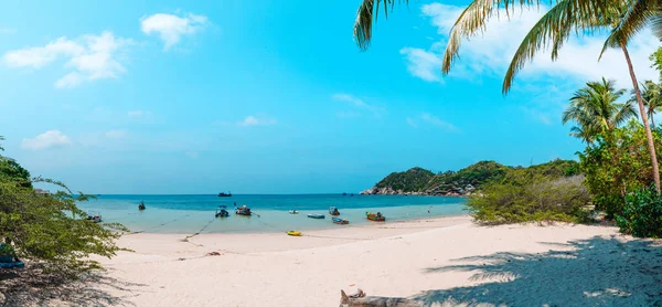 Tropischer Strand Und Kokospalme Thailand — Stockfoto