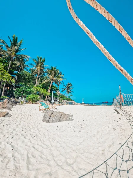 Tropisch Strand Kokospalm Thailand — Stockfoto