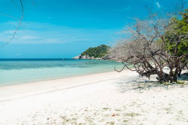 Tropikal adada beyaz plaj, plajlar ve dinlenecek yerler