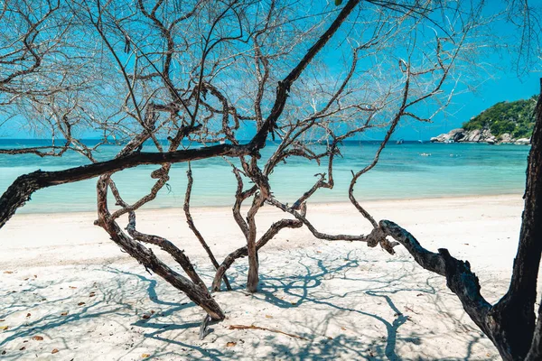 Playa Blanca Isla Tropical Playas Lugares Para Rela — Foto de Stock