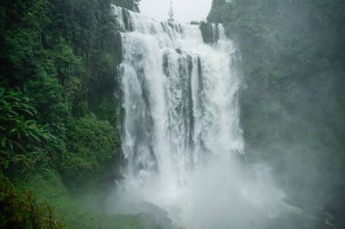 Yağmur ormanlarındaki doğa şelalesi, şelaleyi ziyaret et.