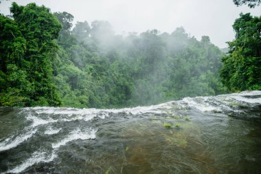 Yağmur ormanlarındaki doğa şelalesi, şelaleyi ziyaret et.