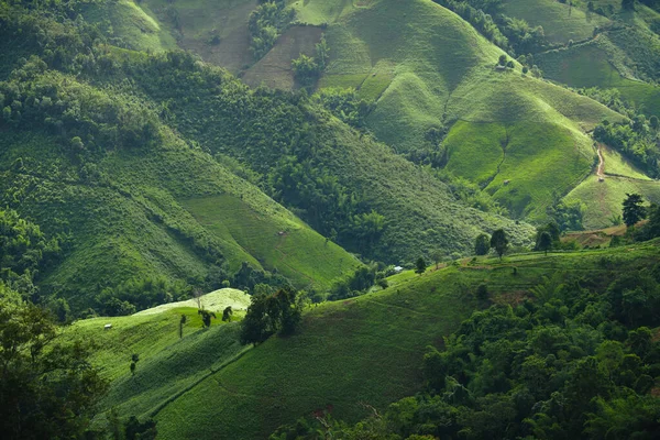 Пейзаж Зеленых Гор Горные Пейзажи Азии — стоковое фото